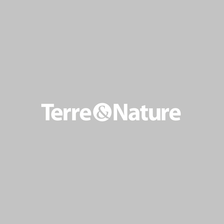 Terre & Nature
